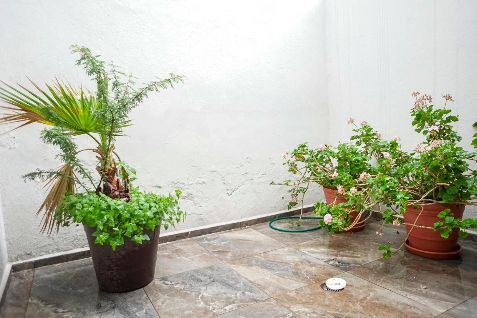 Casa Morelos Stayhouse ซานหลุยส์โปโตซิ ภายนอก รูปภาพ