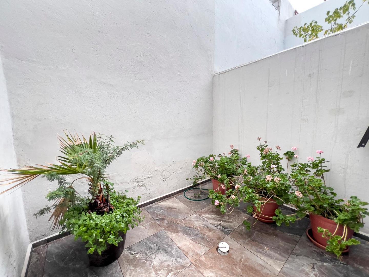 Casa Morelos Stayhouse ซานหลุยส์โปโตซิ ภายนอก รูปภาพ
