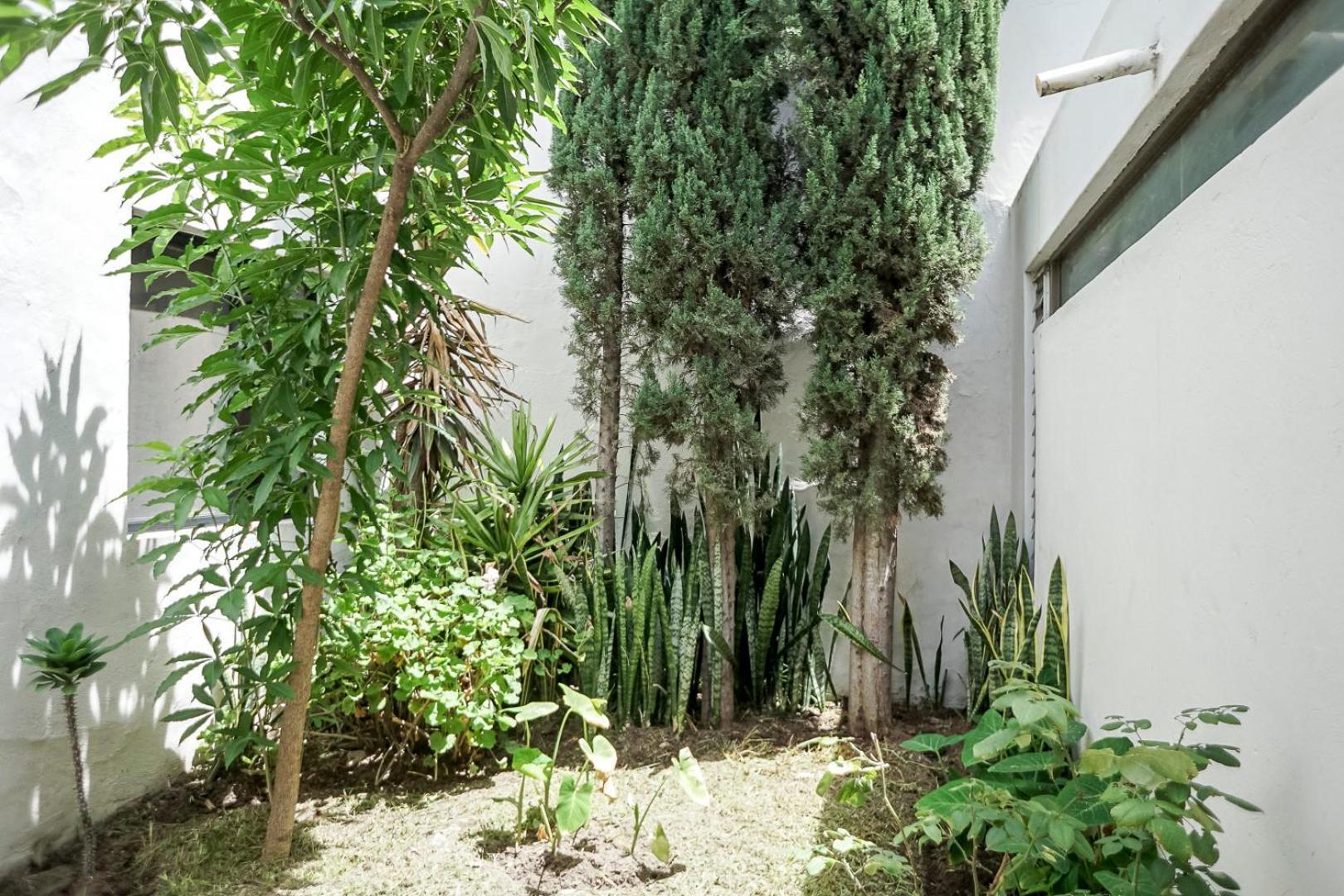Casa Morelos Stayhouse ซานหลุยส์โปโตซิ ภายนอก รูปภาพ